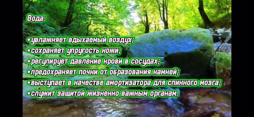 Зачем надо беречь воду? Лаборатория защиты воды