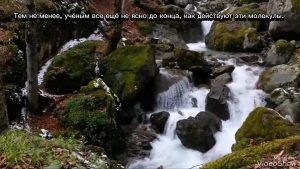 Лаборатория защиты воды. Видеоэссе Зачем беречь воду? Виноградов Егор 10а. Школа №64