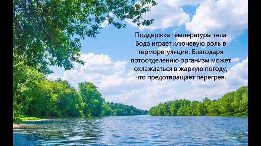 Лаборатория защиты воды. Видеоэссе Зачем беречь воду? Васильева Виктория 10а. Школа №64