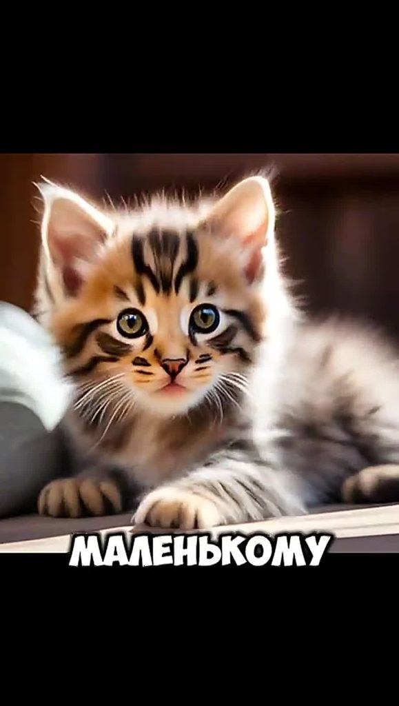 Конкурсное видео от команды «Экопылесосы» из школы №84, созданное в рамках кейса «Сам себе режиссер» проекта «ЭкоПрофи».