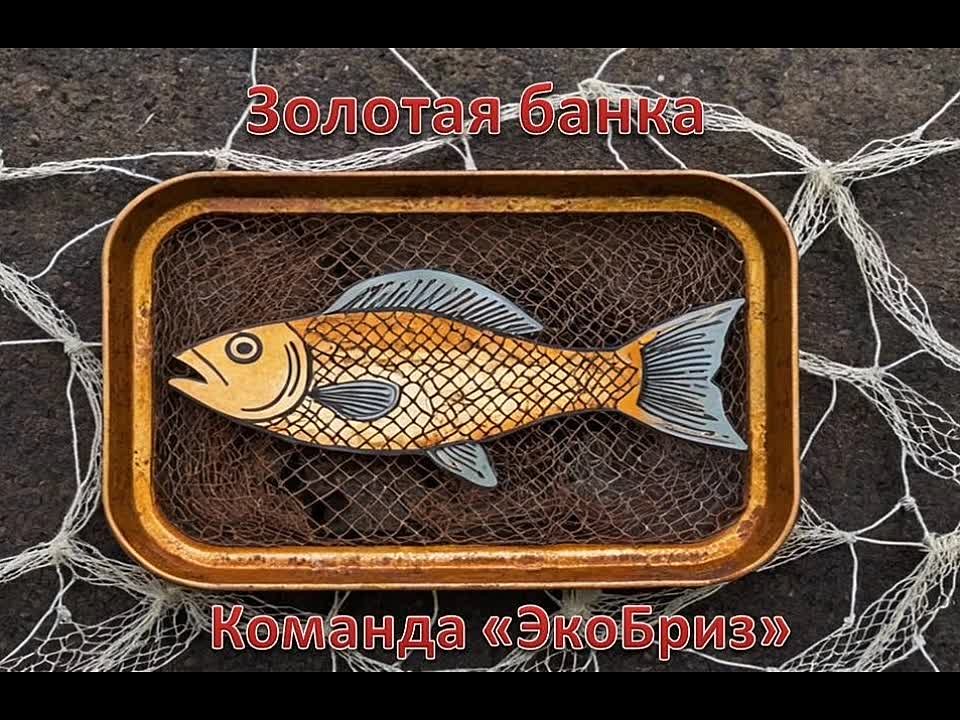 Сказка о золотой банке. ЭкоБриз. Школа № 46