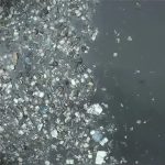 Мультфильм от команды «Друзья Эколабика» школы №137, созданный в рамках проектной смены «Лаборатория защиты воды» Городского экологического фестиваля «ЭкоПрофи». Из видео вы узнаете чем чревато загрязнение рек и озер. Обязательно посмотрите и перешлите друзьям.