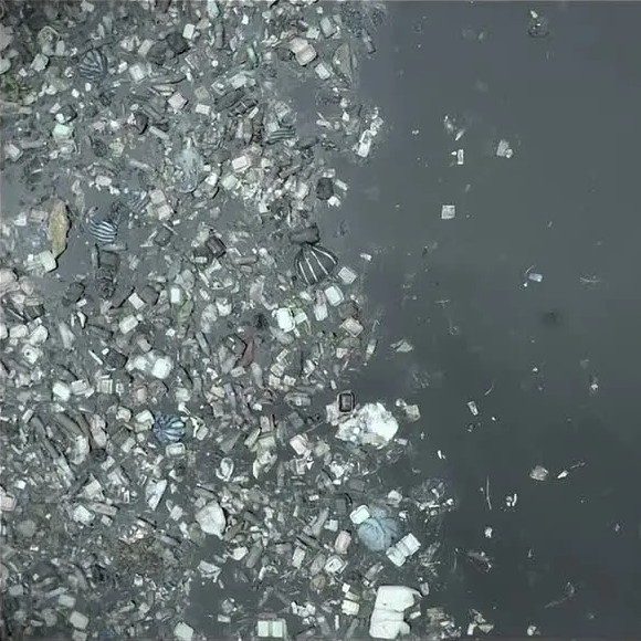 Мультфильм от команды «Друзья Эколабика» школы №137, созданный в рамках проектной смены «Лаборатория защиты воды» Городского экологического фестиваля «ЭкоПрофи». Из видео вы узнаете чем чревато загрязнение рек и озер. Обязательно посмотрите и перешлите друзьям.