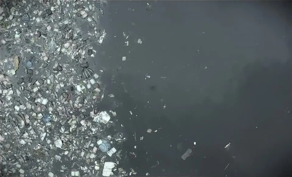 Мультфильм от команды «Друзья Эколабика» школы №137, созданный в рамках проектной смены «Лаборатория защиты воды» Городского экологического фестиваля «ЭкоПрофи». Из видео вы узнаете чем чревато загрязнение рек и озер. Обязательно посмотрите и перешлите друзьям.